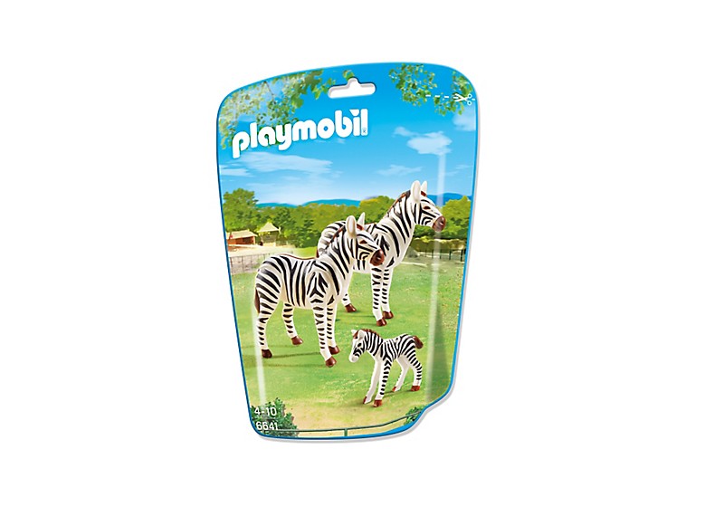 6641 FAMILIA DE CEBRAS