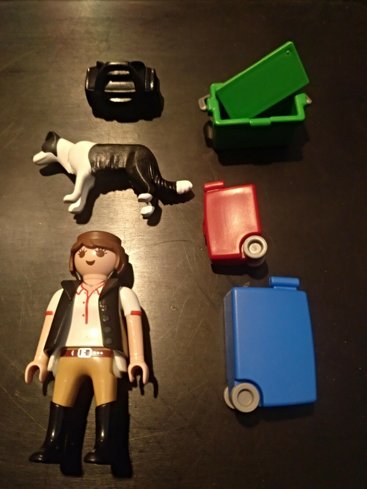 PLAYMOBIL MUJER CON PERRO Y MALETAS CON RUEDAS EN BOLSA CERRADA