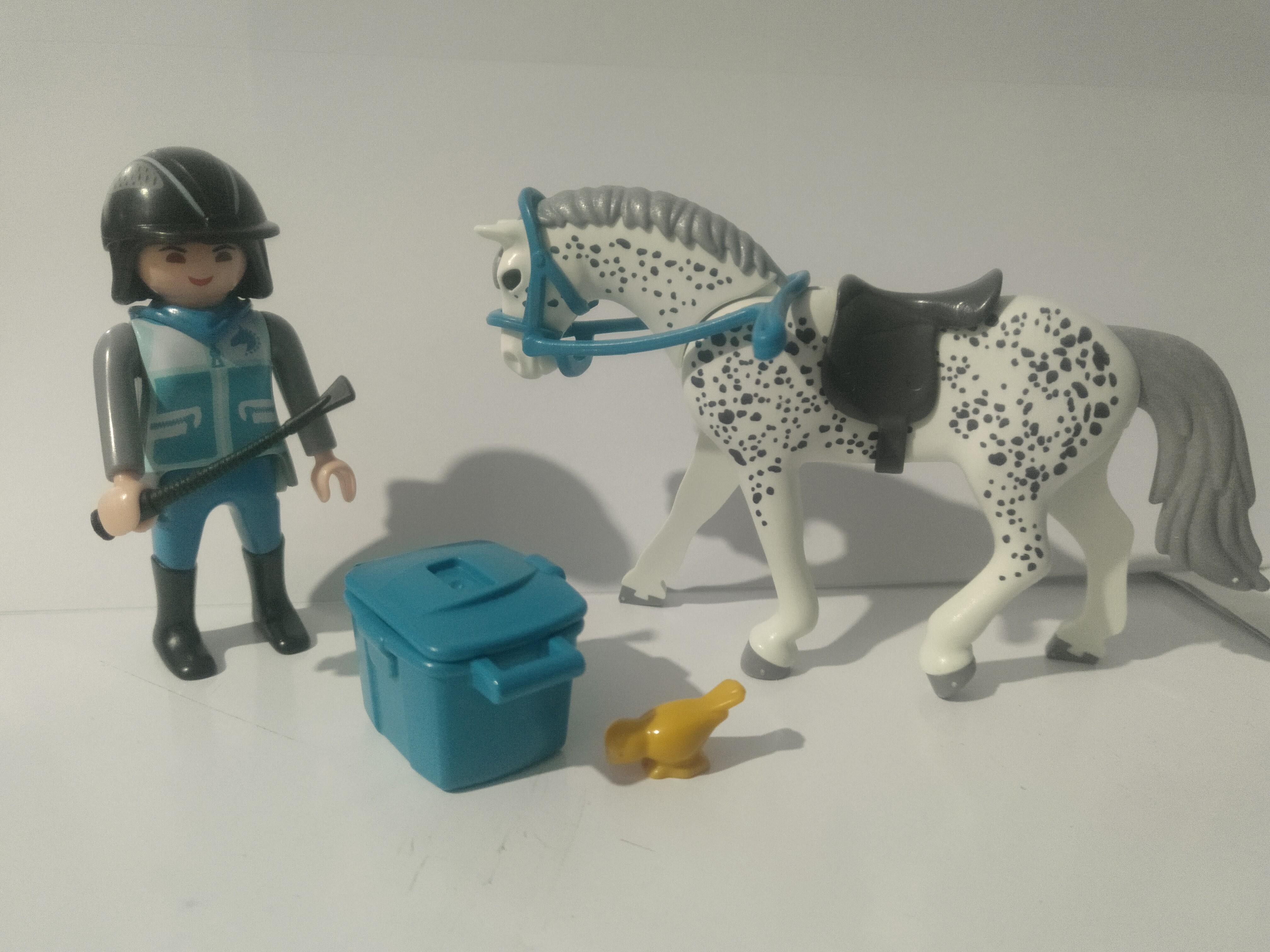 PLAYMOBIL AMAZONA CON CABALLO Y COMPLEMENTOS - 25/9/19