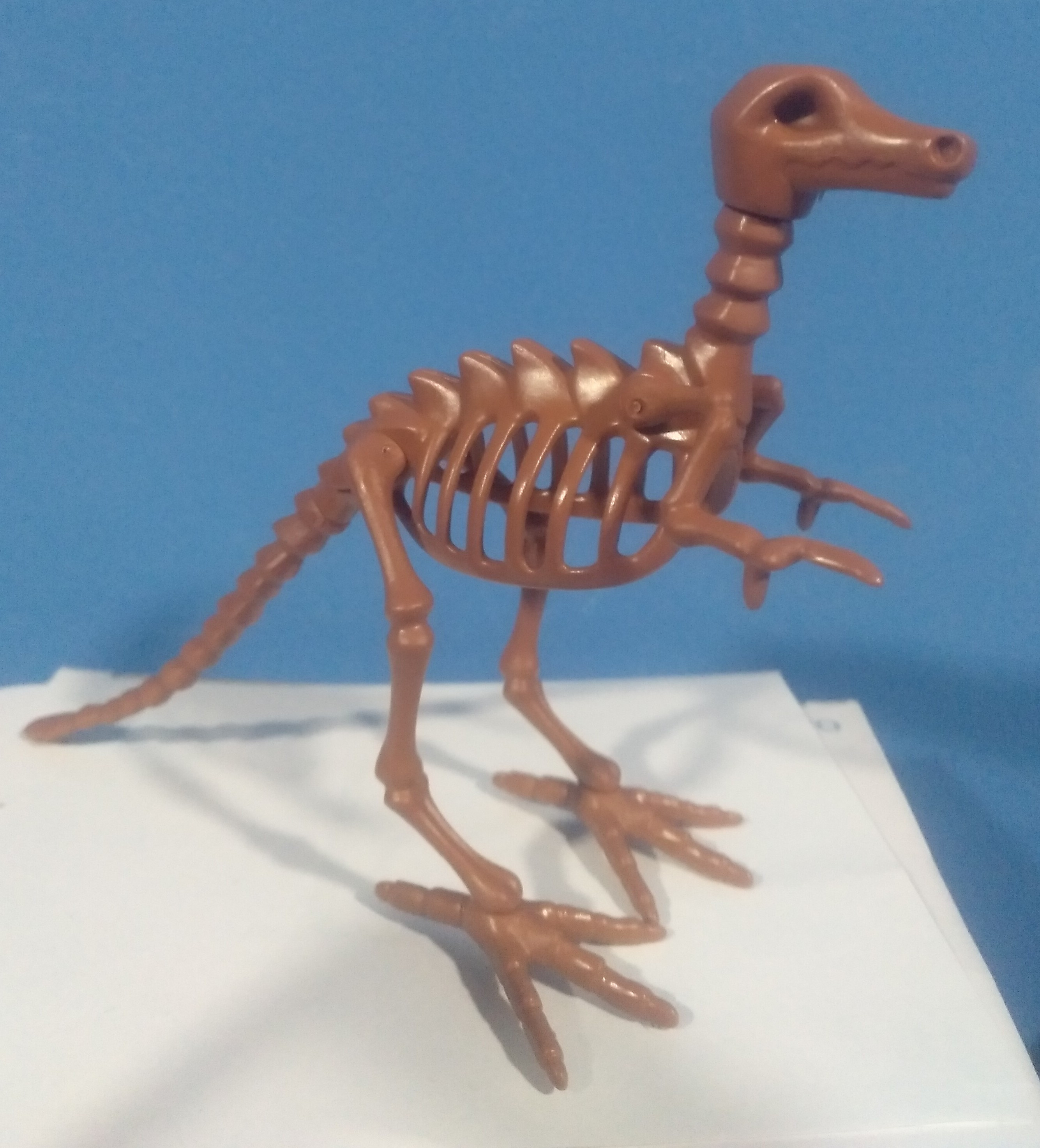 PLAYMOBIL ESQUELETO DINOSAURIO COMPLETO - 27/5/21