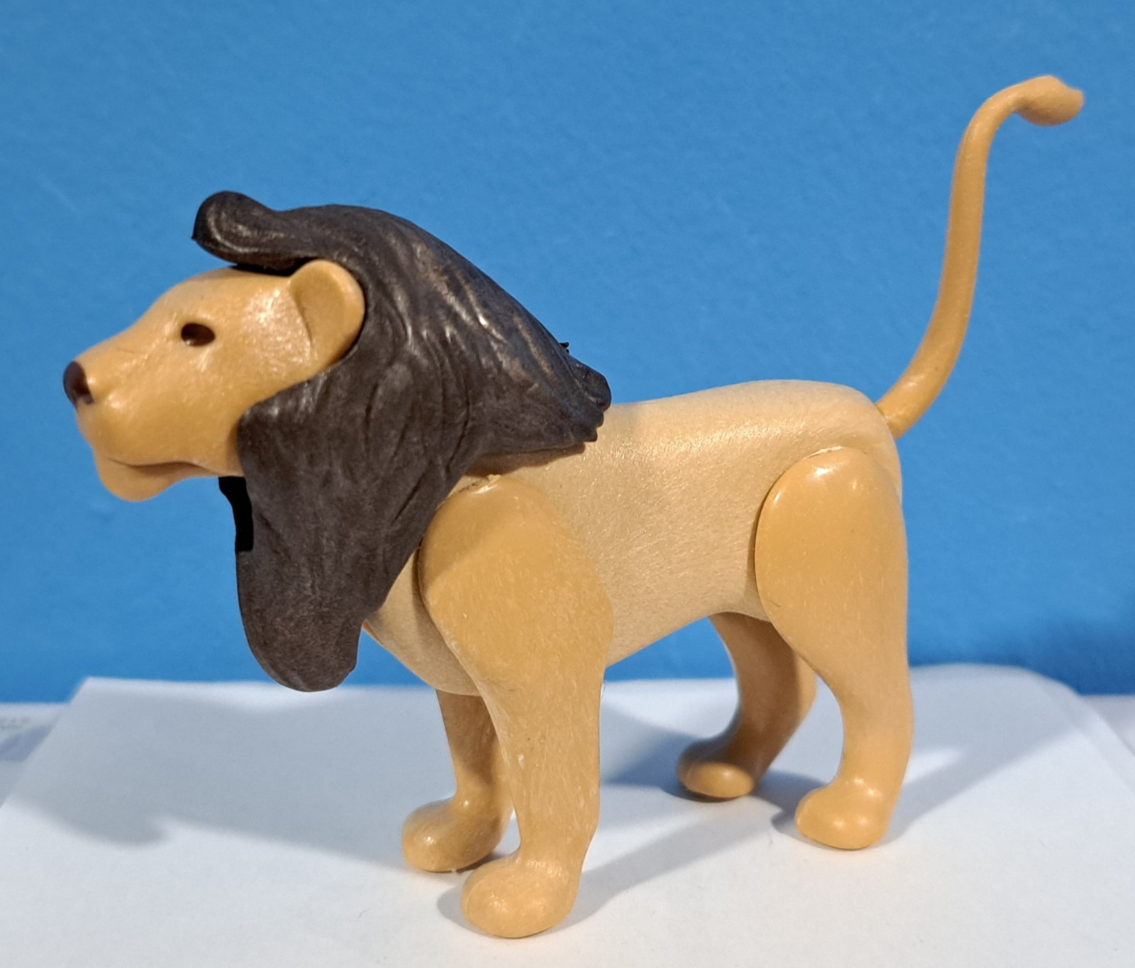 PLAYMOBIL LEON -18/8/22