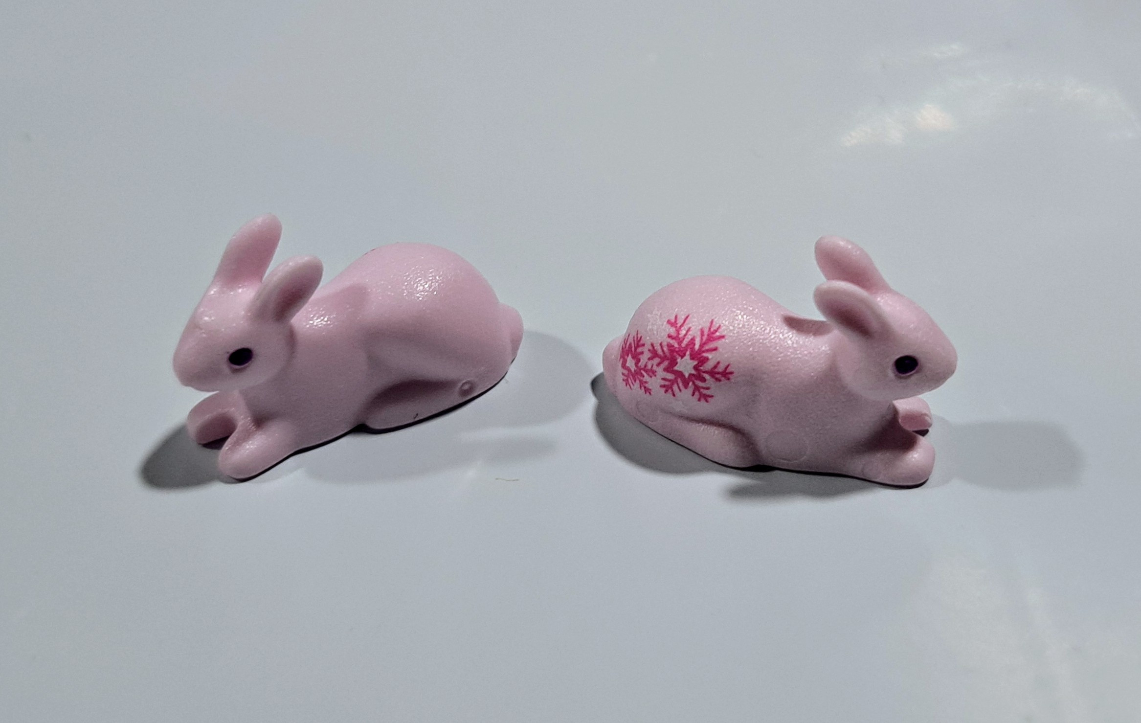PAREJA CONEJOS ROSAS - 5/6/23