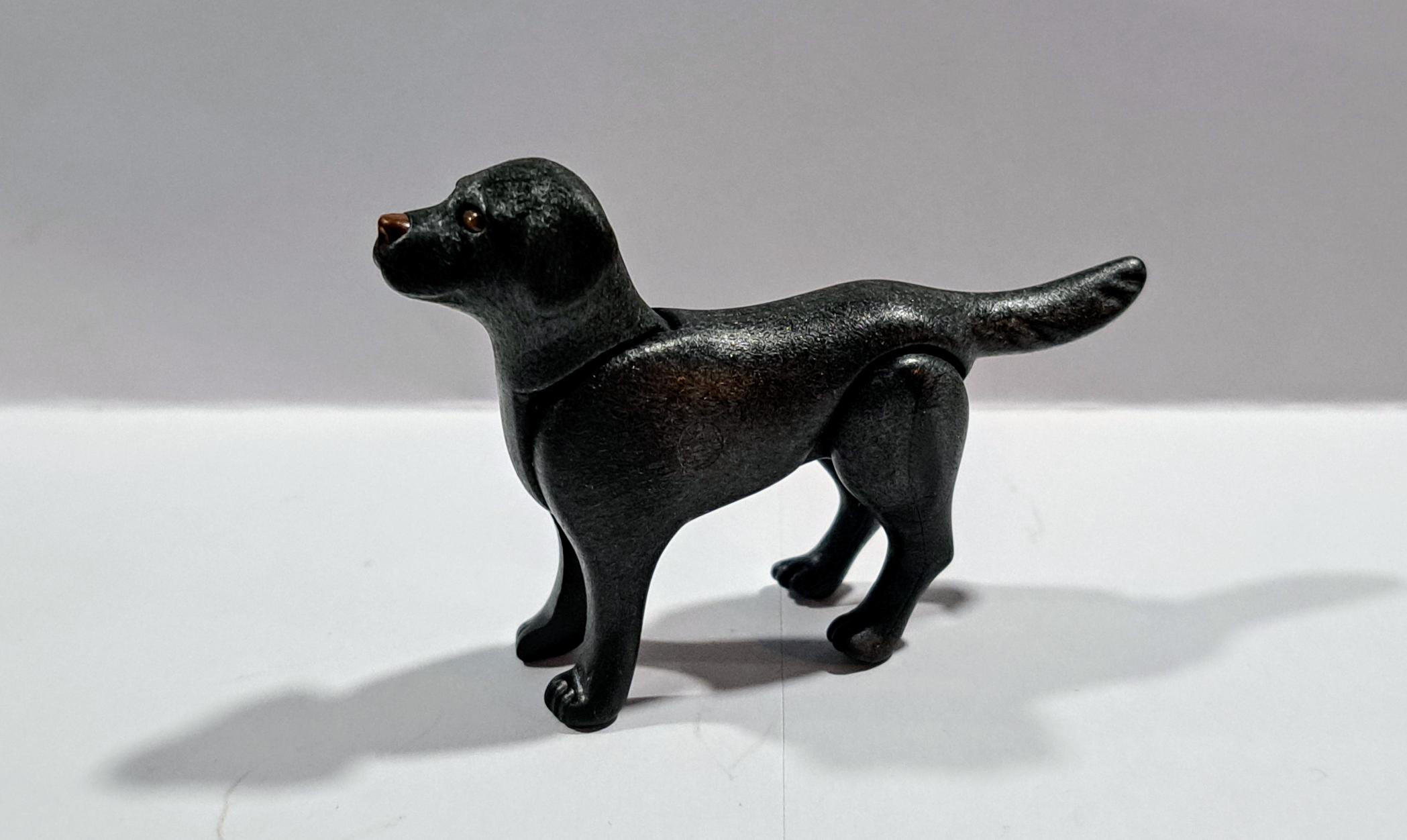 PLAYMOBIL PERRO NEGRO - 25/6/21