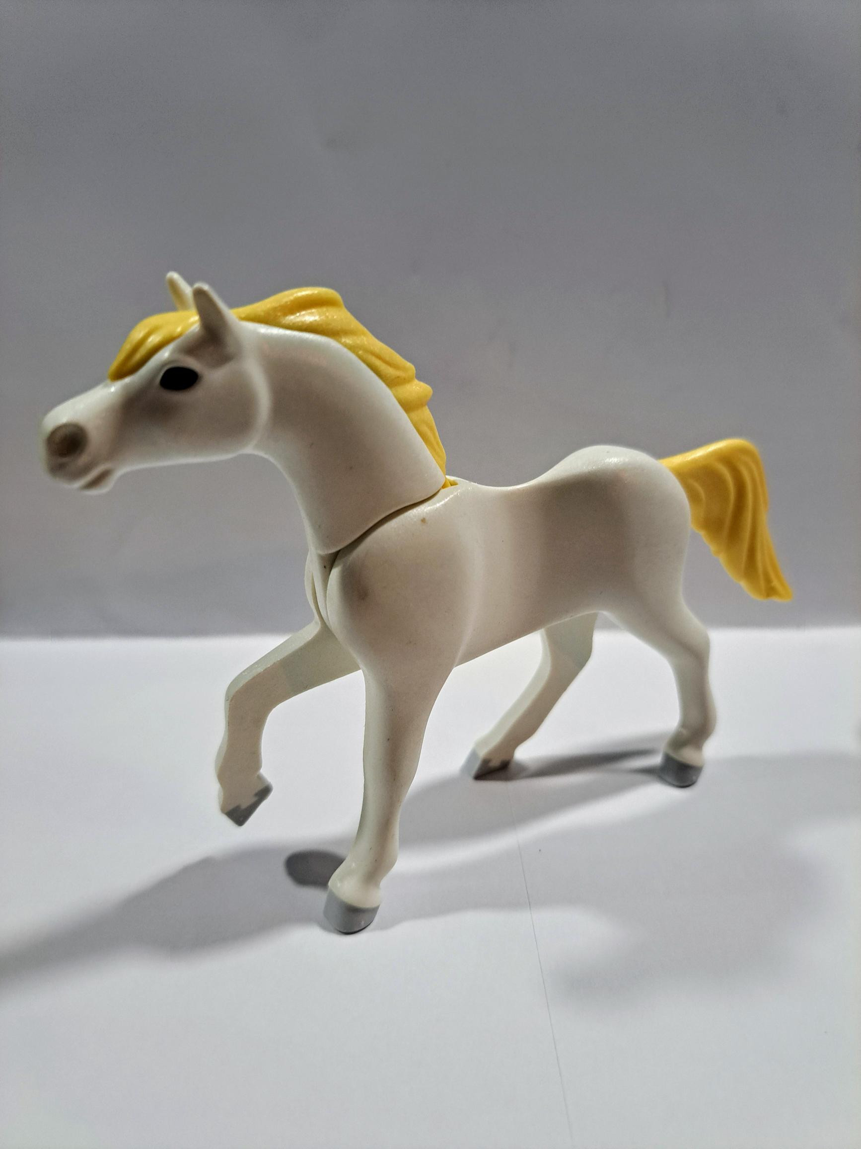PLAYMOBIL PERRO NEGRO - 25/6/21