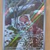 Carta Pokémon Swinub 165/159 Básico