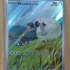 Carta Pokémon Wooloo de Paul 170/159